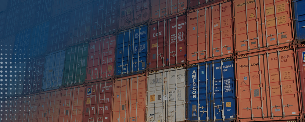 Top 10 Largest Singapore Imports