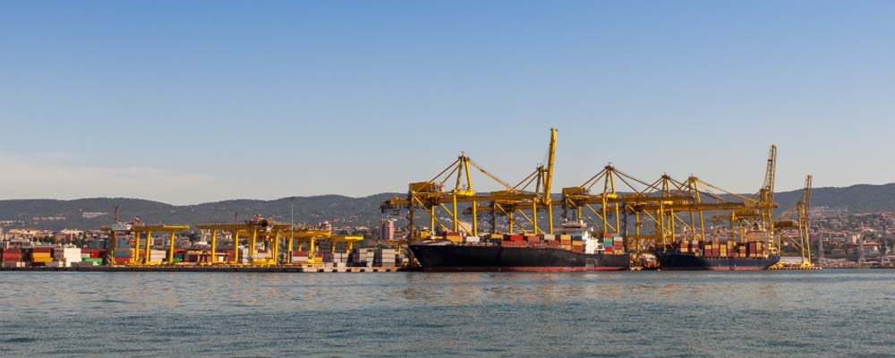 Main Port in New Zealand: Key Information and Insights